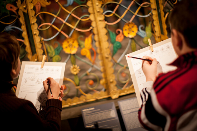 Edukační program, ilustrační fotografie